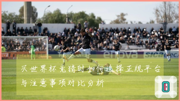 买世界杯竞猜时如何选择正规平台与注意事项对比分析