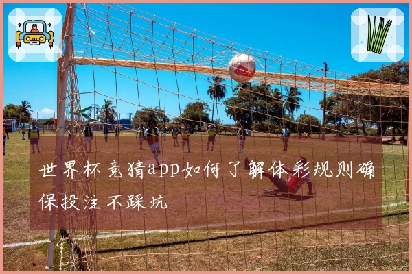 世界杯竞猜app如何了解体彩规则确保投注不踩坑