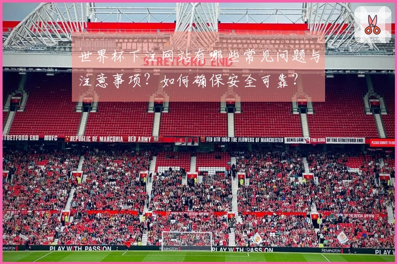 世界杯下注网站有哪些常见问题与注意事项?如何确保安全可靠?