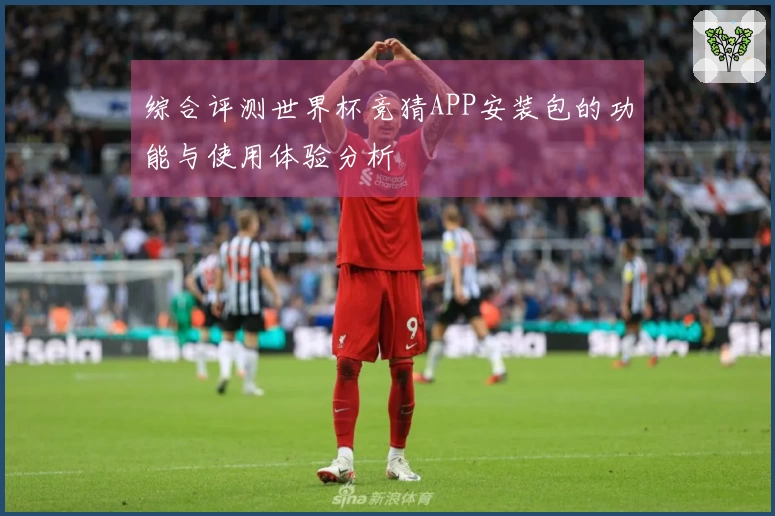 综合评测世界杯竞猜APP安装包的功能与使用体验分析