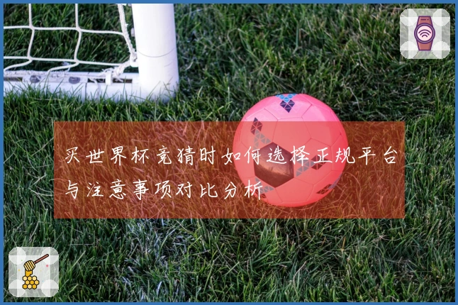 买世界杯竞猜时如何选择正规平台与注意事项对比分析
