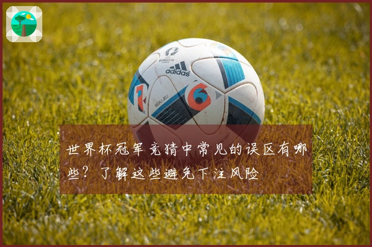 世界杯冠军竞猜中常见的误区有哪些？了解这些避免下注风险