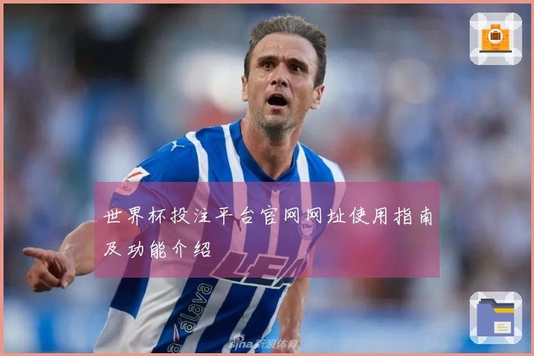 世界杯投注平台官网网址使用指南及功能介绍