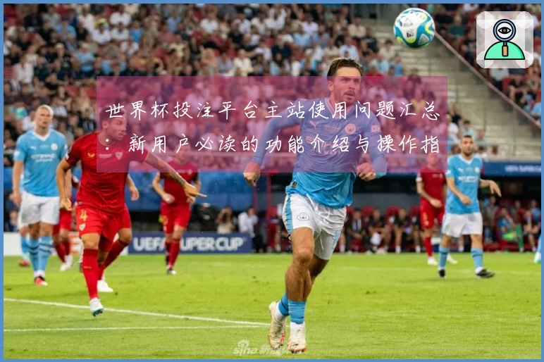 世界杯投注平台主站使用问题汇总：新用户必读的功能介绍与操作指南