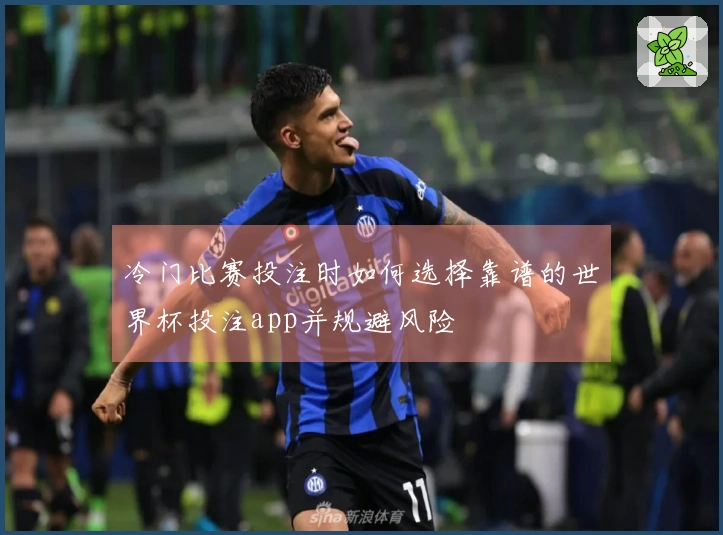 冷门比赛投注时如何选择靠谱的世界杯投注app并规避风险