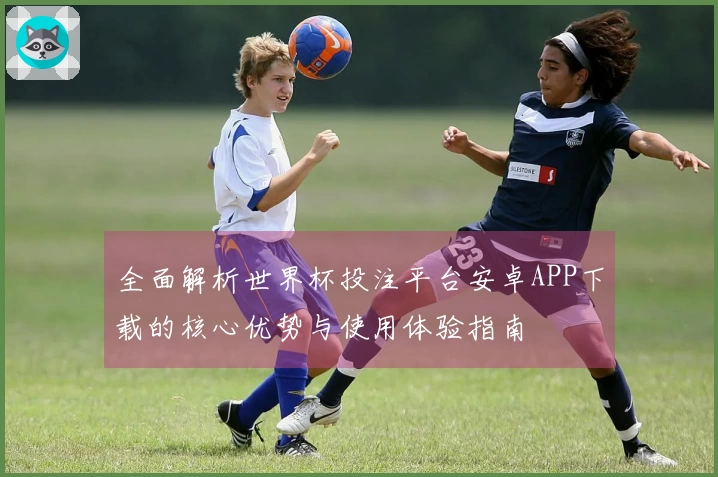 全面解析世界杯投注平台安卓APP下载的核心优势与使用体验指南