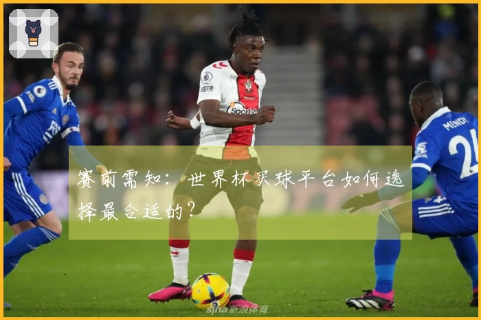 赛前需知：世界杯买球平台如何选择最合适的？