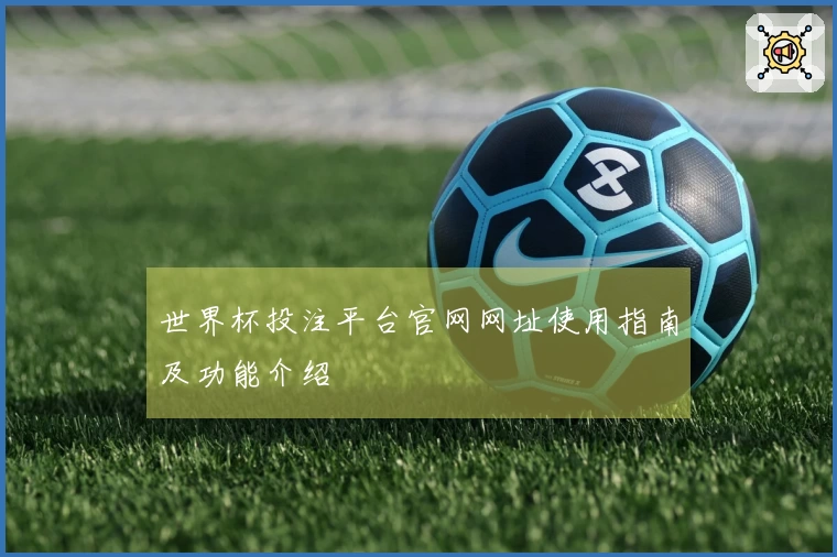 世界杯投注平台官网网址使用指南及功能介绍