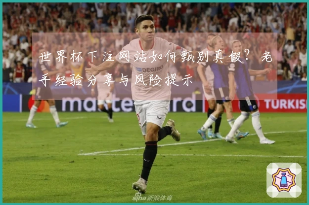 世界杯下注网站如何甄别真假？老手经验分享与风险提示