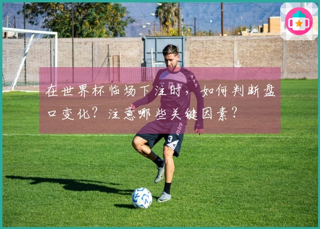 在世界杯临场下注时，如何判断盘口变化？注意哪些关键因素？